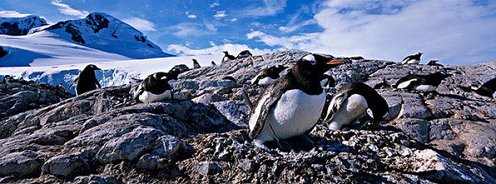 《战区》开挂硬件被封 动视称反作弊系统正在“进化”