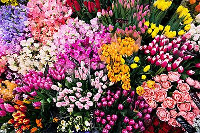 《星球大战：亡命之徒》季票路线图公布